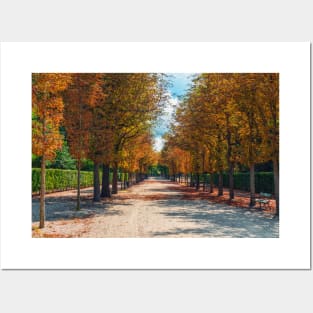 Autumn walk in the park Posters and Art